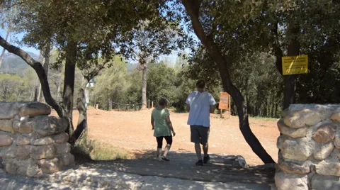 Going Into The Forest Stock Footage 53615585