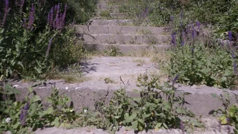 Going up the forest steps POV 4K footage Stock Footage 94264512