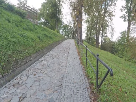 Going forward in the park Stock Footage 83620556