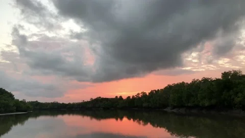 Going forward on a river at sunrise. Stock Footage 119852919