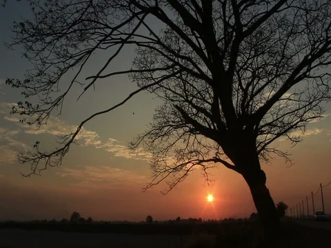 Going Home in the Evening. Stock Footage 78017327