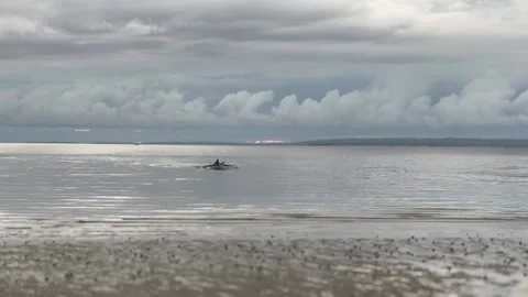 Going Home Video stock 220190559