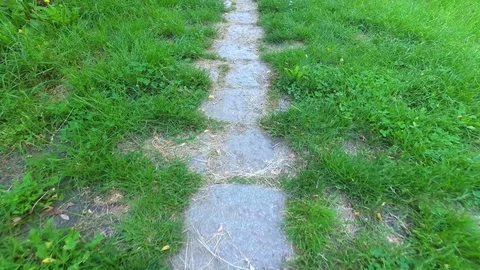 Going on old way through grass Stock Footage 110909705