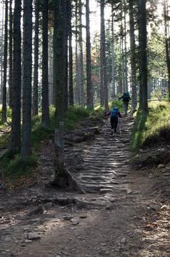 Going up the path Stock Photos