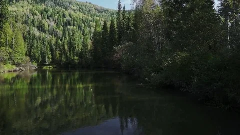 Going with the river flow Stock Footage 81662697