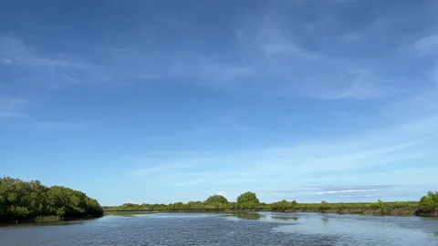 Going Up River Stock Footage 236727416