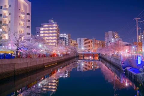 Of going to see cherry blossoms at night Ooka River Purobunado Stock Photos