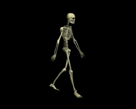 Going skeleton Stock Footage 835902