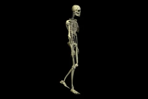 Going skeleton Stock Footage 835947