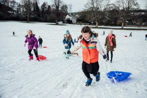 Going for a Sled Race Stockfoto's