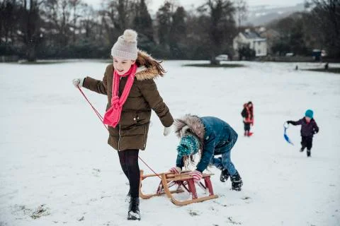 Going for a Sled Race Фото