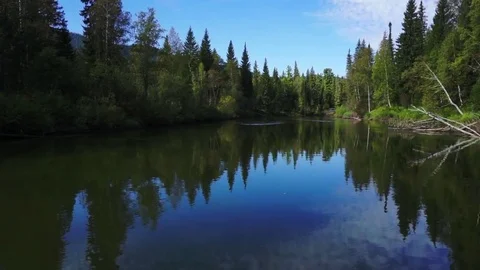 Going slowly with the river flow Stock Footage 81662810