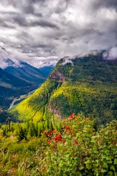 Going to the Sun Road Stock Photos