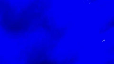 Going Through the Car Wash Stock Footage 170142809
