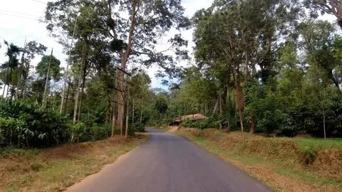 Going through a forest on a narrow Indian road, Kerala. Vídeo Stock 122572776