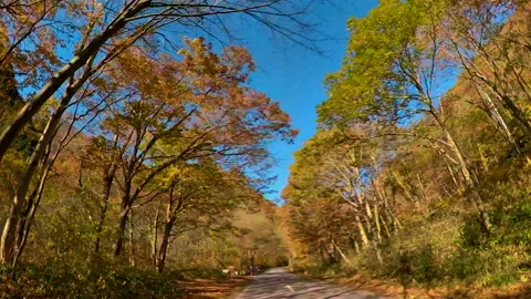 Going through the narrow road in the countryside Stock Footage 139327898