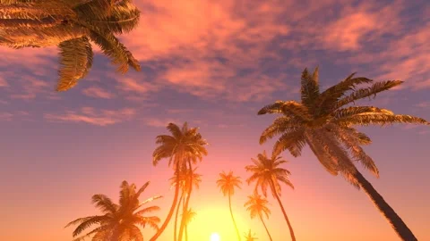Going through palm trees with beautiful sunset on the background 3D 4K animation Stock Footage 266809797