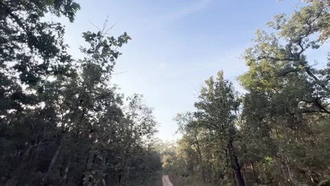 Going through the Pench landscape in winter Stock Footage 325719846