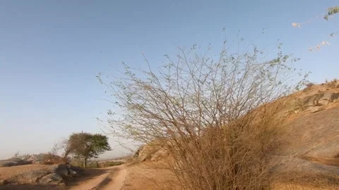 Going through the vast rocky terrain of Jawai national park Stock Footage 308723225