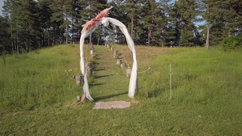 Going through the wedding arch at the mountain meadow Stock Footage 134779221