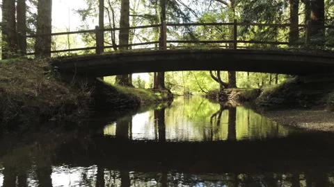 Going Under the Bridge - New Forest Stock Footage 153999260