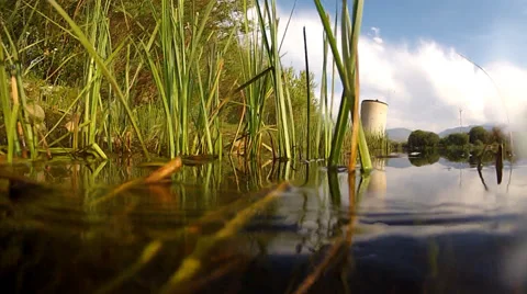Going Under Country Pond Stock Footage 41489752