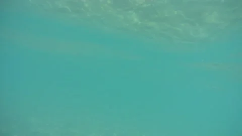 Going under water in the ocean Stock Footage 143370426