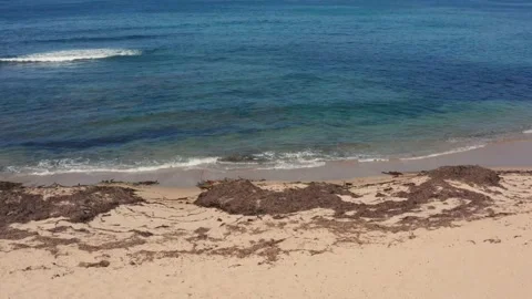 Going to the water Stockbeeldmateriaal 160294633