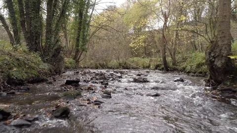 Goit Stock stream with trees, Drone, Yorkshire 스톡 동영상 93260758