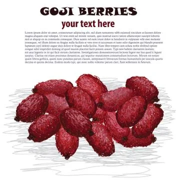 Goji berries Stock Illustration