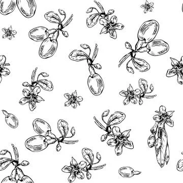 Goji berries pattern Stock Illustration