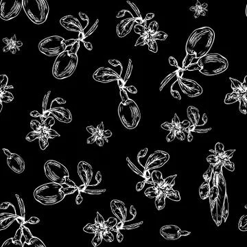 Goji berries pattern Stock Illustration