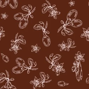 Goji berries pattern Stock Illustration