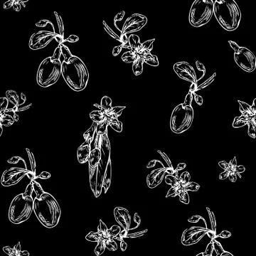 Goji berries pattern Stock Illustration