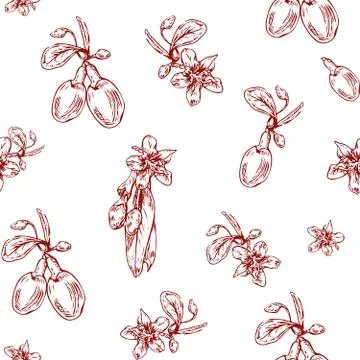 Goji berries pattern Stock Illustration