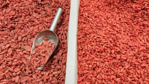 Goji berries Stock Photos