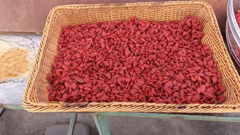 Goji berries Stock Photos