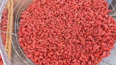 Goji berries Stock Photos