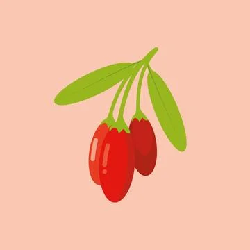 Goji berries vector design, chinese wolfberries icon, lycium barbarum Stock Illustration