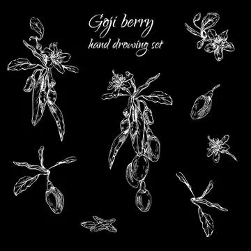 Goji black set Stock Illustration