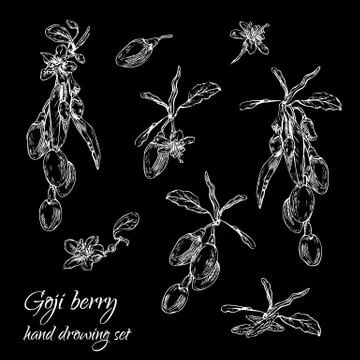 Goji black set Stock Illustration