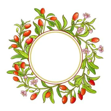 Goji branch vector frame Stock Illustration