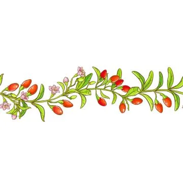 Goji branch vector pattern Stock Illustration