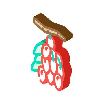 Goji food isometric icon vector illustration Stock Illustration