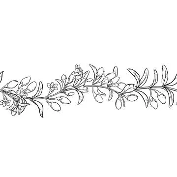 Goji Outline Horizontal Seamless Pattern. Stock Illustration