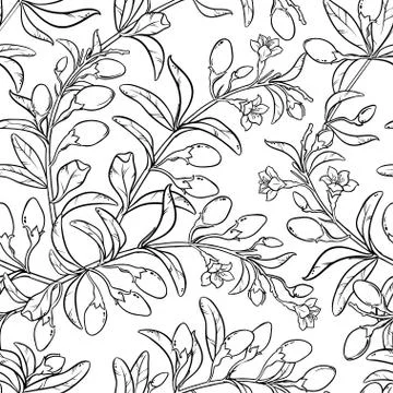 Goji seamless pattern Stock-Illustration