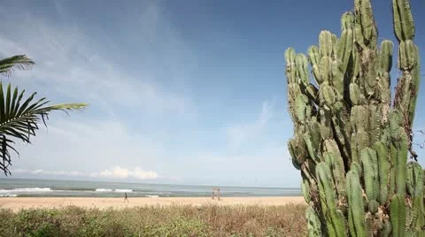 Gokarna-2 Stock-Footage 8945341