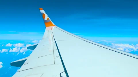 Gol airlines plane during a flight 動画素材 167686632
