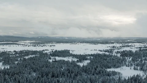 The Gol Area Vídeo Stock 108574147