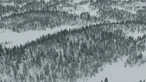 The Gol Area Vídeos de archivo 108574489